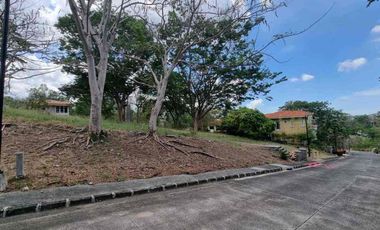 Vacant lot in Terrazas de Punta Fuego for sale