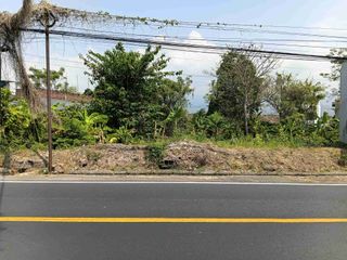 Tanah Pinggir Jalan Provinsi Dekat Lovina Dan Kota Singaraja