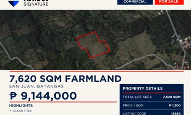FOR SALE | 7,620 SQM FARMLAND IN SAN JUAN, BATANGAS | ₱1,200/SQM | ₱9.144M TOTAL