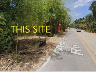 COMMERCIAL LOT FOR SALE LOCATED IN LIBAONG,PANGLAO ISLAND, BOHOL