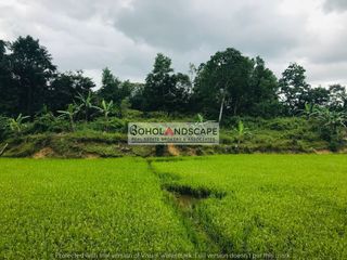 FOR SALE: 1.8 HECTARES FARM LOT LOCATED IN SIERRA BULLONES BOHOL