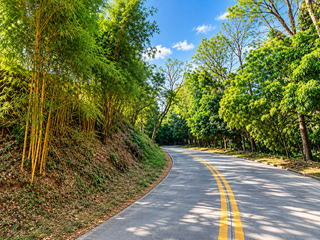 Roadside Land with Clean Title for Sale in Tanay Rizal