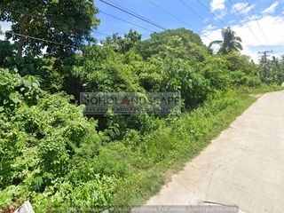 1,786 SQM LOT FOR SALE LOCATED IN BIL-ISAN, PANGLAO ISLAND, BOHOL