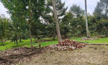 RUSH SALE! 2.4 HECTARES CLEAN TITLE IN BARACATAN TORIL  9M