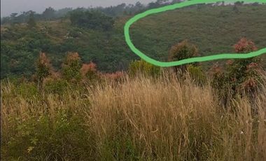 2 Ha Tanah Kebun Strategis, Wangunjaya Cikalong Wetan Bandung Barat