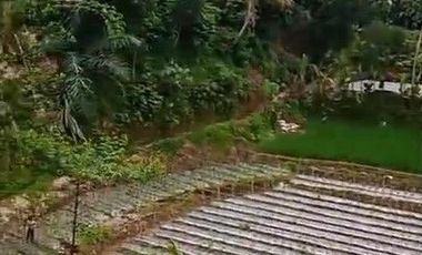 2 Ha Tanah Sawah & Kebun Desa Tenjolaut, Cikalong Wetan, Bandung Barat.