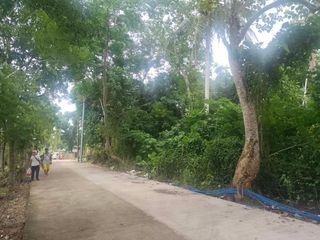 LOT FOR SALE – CARARAYAN, NAGA CITY | 1,003 SQM