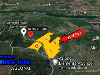 Lot for Sale in Libmanan Camarines Sur