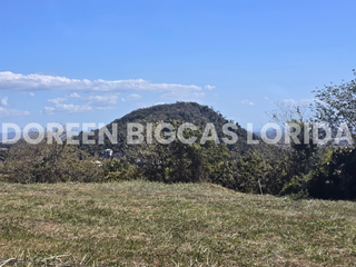 FOR SALE: 600 sqm Residential Lot with Golf Course and Clubhouse in Calamba, Laguna - Ayala Greenfield Estates