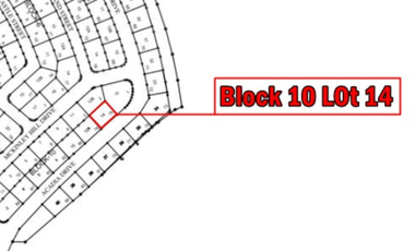 Bare Lot For Sale 187 sqm McKinley Hill Village Taguig City near McKinley West Village lot for sale