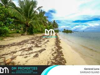 For Sale: Beachfront Lot and Lush Lagoon in Brgy. Malinao, General Luna, Siargao Island
