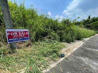 For Sale! Prime 247 sqm Lot in the Heart of Southpeak Filinvest Phase 1, San Pedro, Laguna