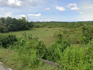 4 hectare undulating with nice views