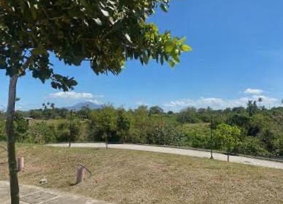Mondia, Canlubang, Calamba, Laguna image 3