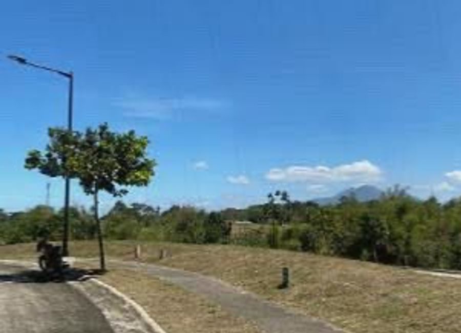 Mondia, Canlubang, Calamba, Laguna image 2