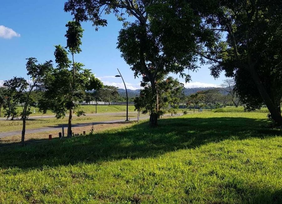 Luscara, Canlubang, Calamba, Laguna image 3