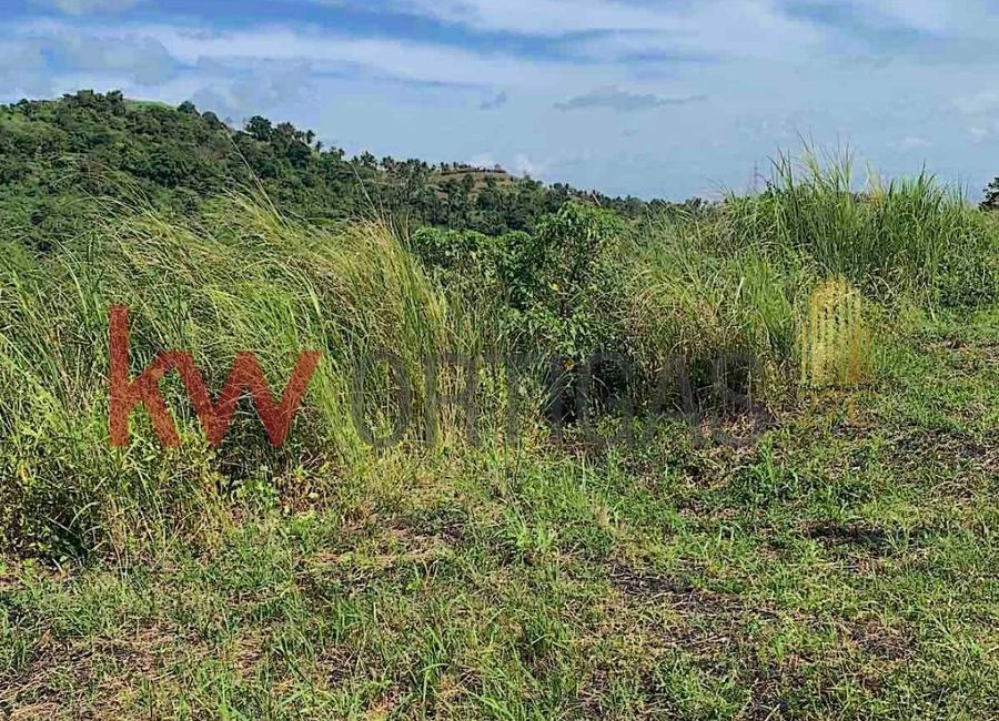 Diokno Highway, Tamayo, Calaca, Batangas image 3