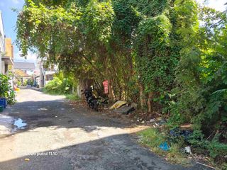 Tanah Langka Luas 3 are di Gelogor Carik Denpasar Selatan