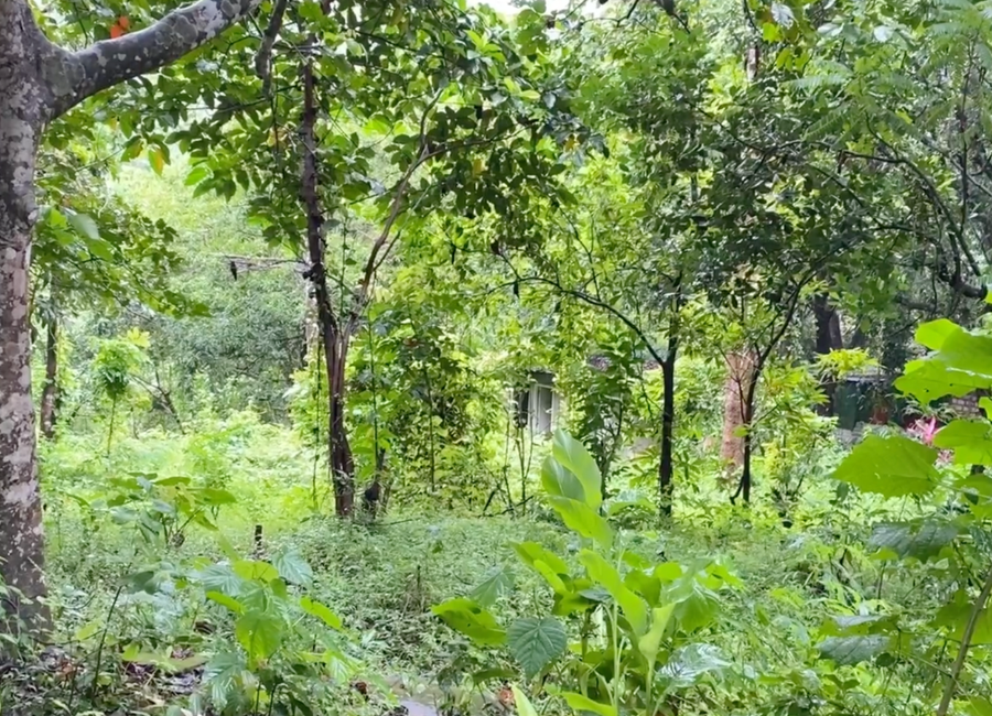 Rawang, Tanay, Rizal