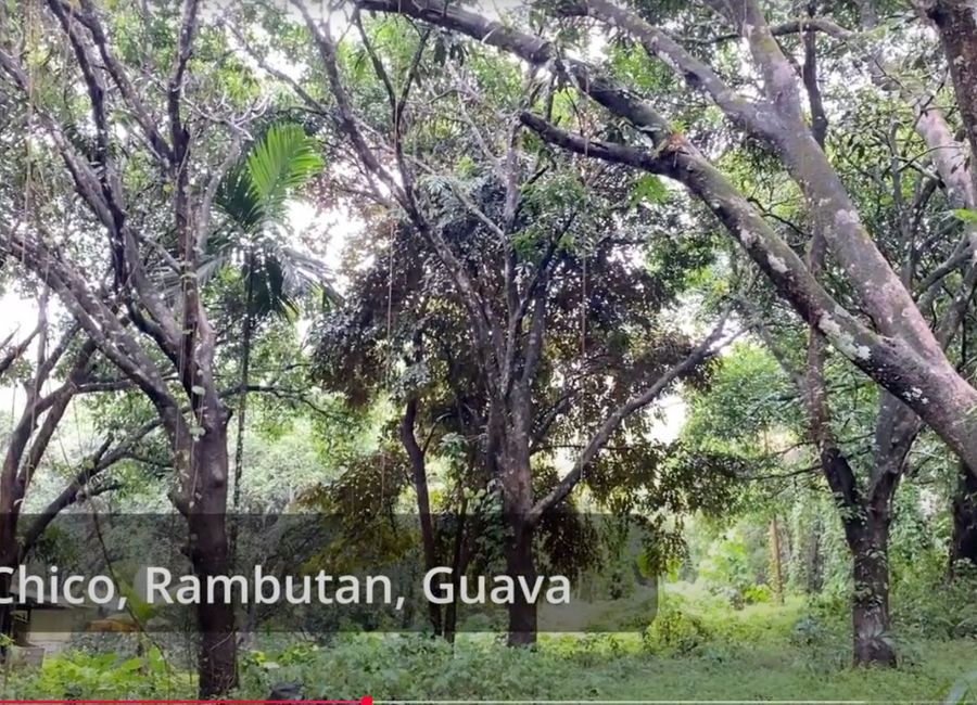 Rawang, Tanay, Rizal image 3
