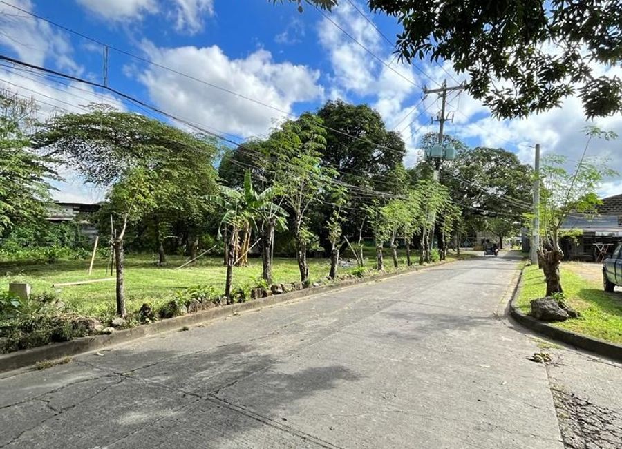 A. Bonifacio Avenue, San Buena, Santo Domingo, Cainta, Rizal