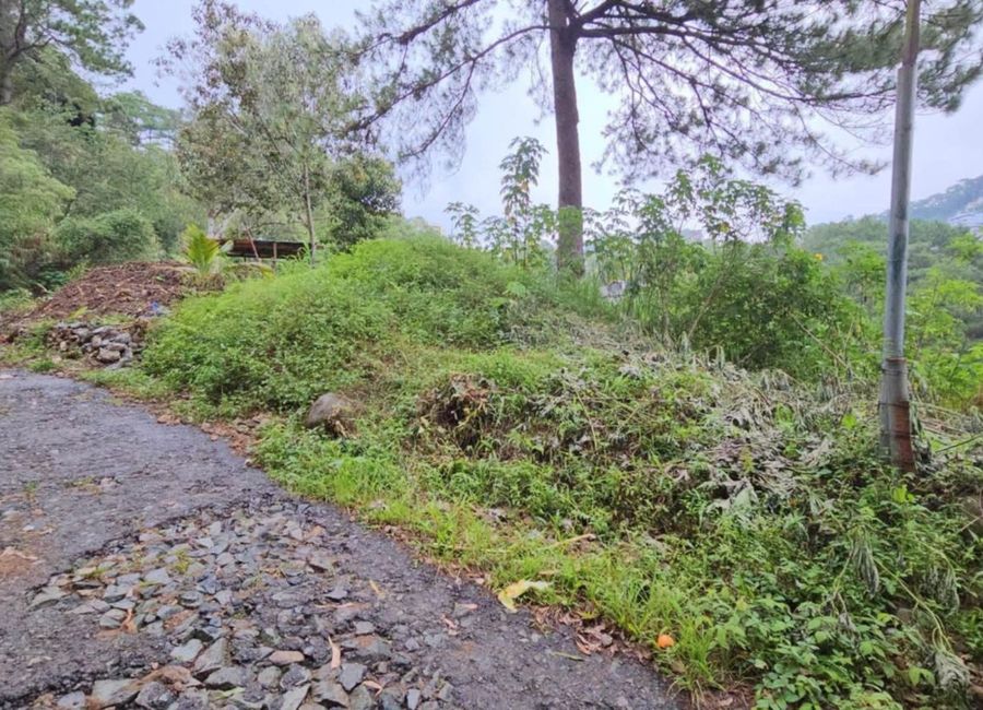place photo 7