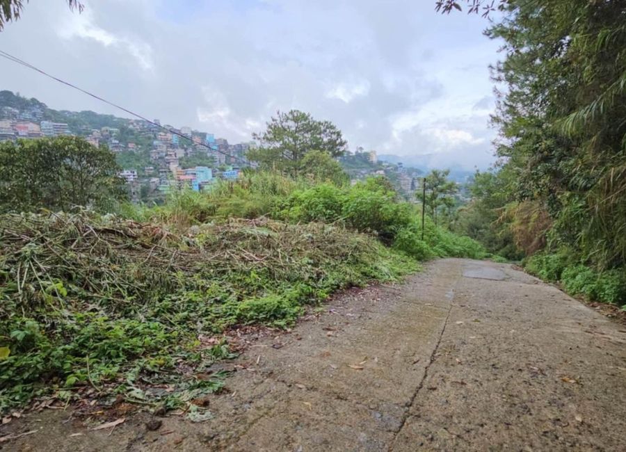 place photo 12