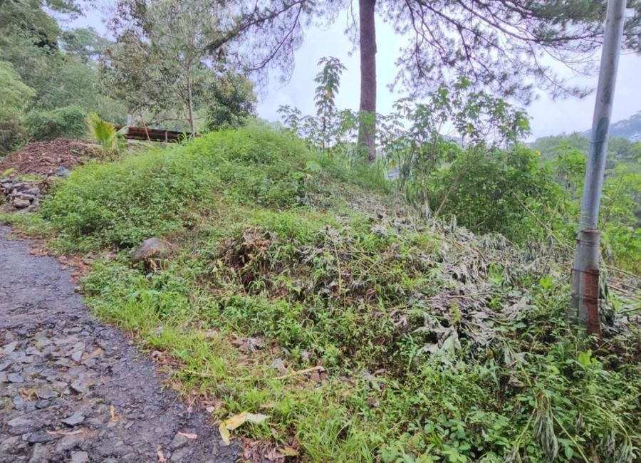 place photo 13