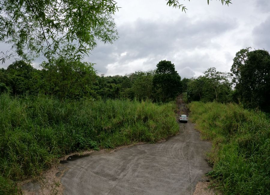 Forest Hills Avenue, Lower Tulakin, Bagong Nayon, Antipolo, Rizal image 2
