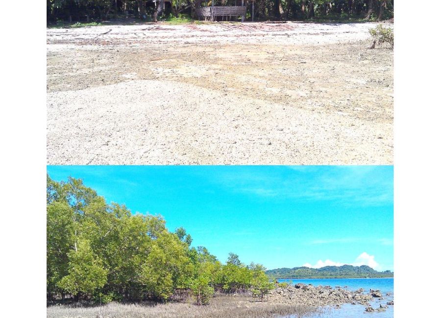 Quezon-Alabat-Perez Road, Apad, Quezon, Quezon image 2