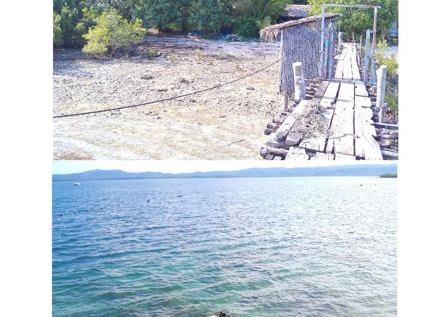 Quezon-Alabat-Perez Road, Apad, Quezon, Quezon