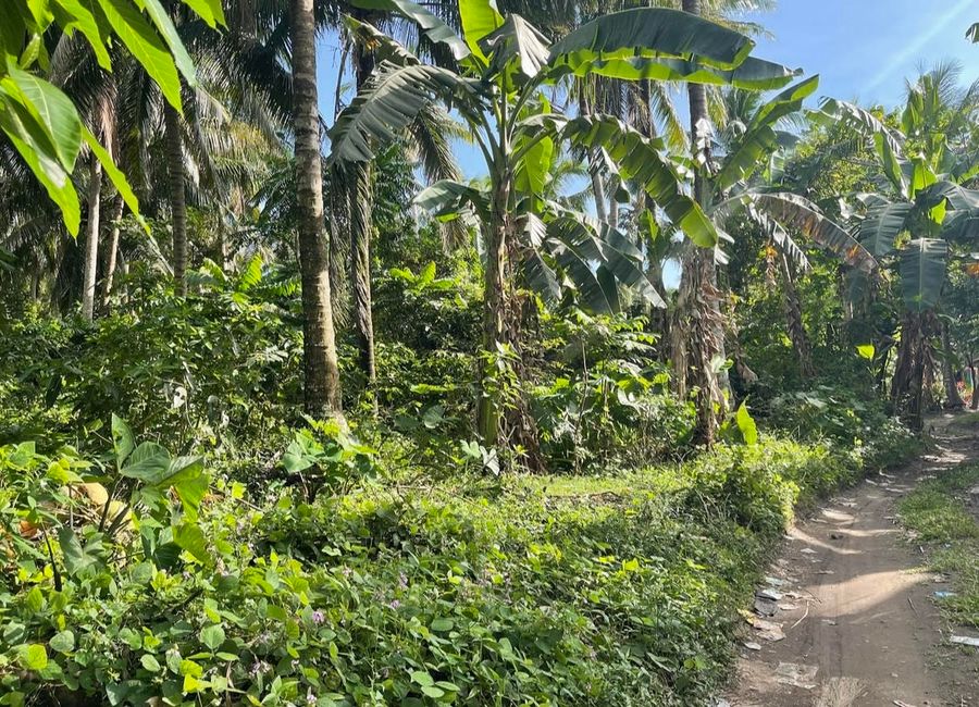 Poblacion 3, Sampaloc 1, Mamala I, Sariaya, 2nd District, Quezon