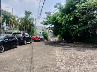 352.90 sqm Prime Location Residential Lot for Sale in Sanville Subd, Culiat, Quezon City