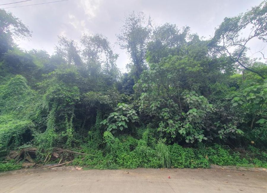 Hillcrest Street, Park Ridge, Santa Cruz, Antipolo, Rizal
