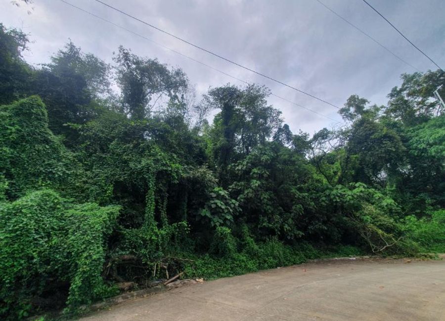 Hillcrest Street, Park Ridge, Santa Cruz, Antipolo, Rizal image 2