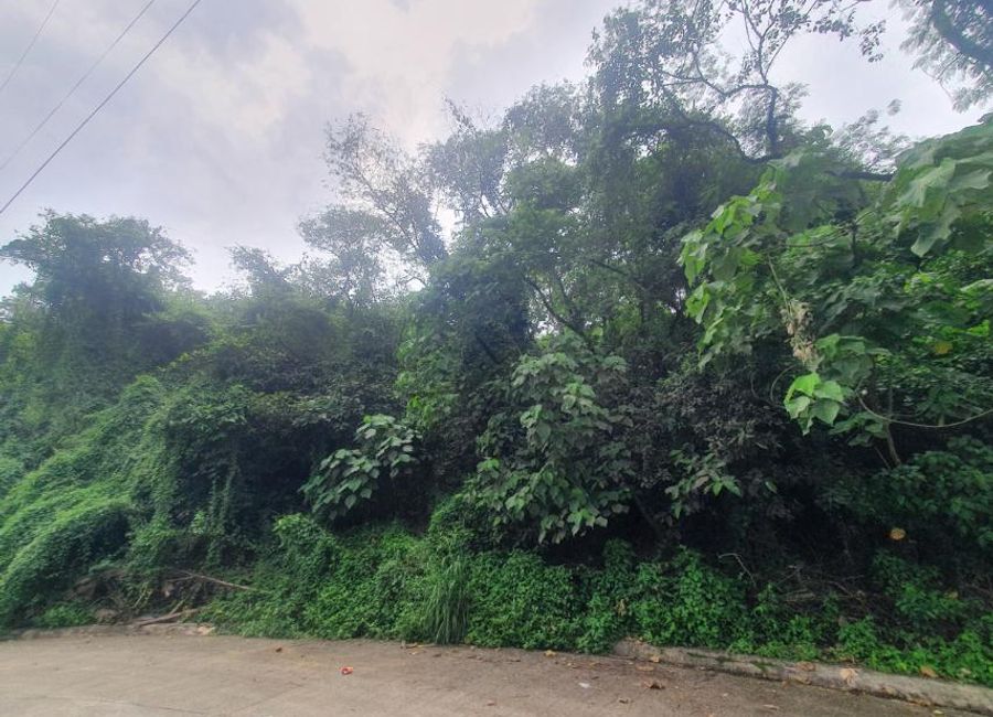 Hillcrest Street, Park Ridge, Santa Cruz, Antipolo, Rizal image 3