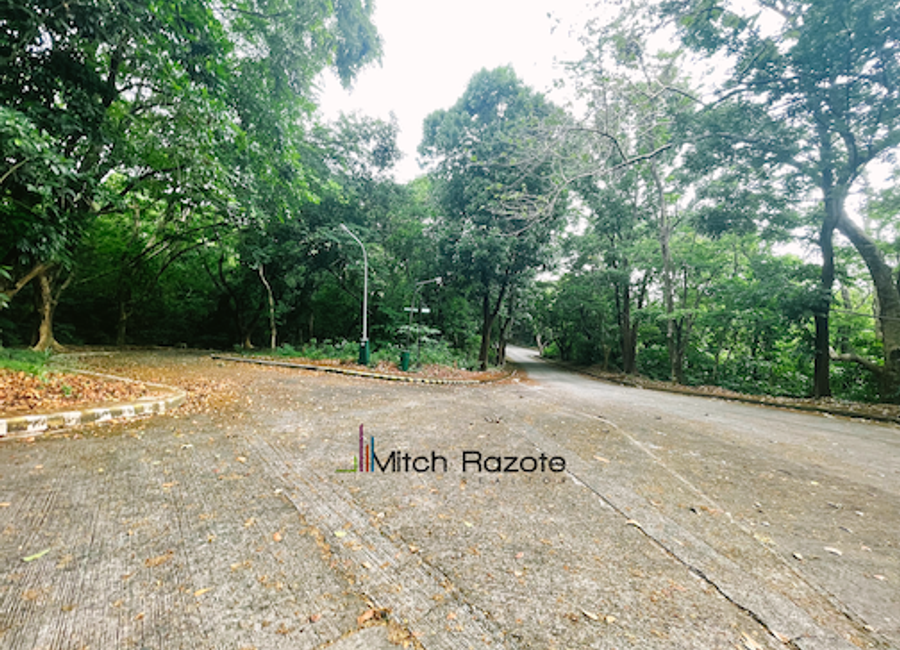 Kingsway, Town & Country Estates, Mambugan, Antipolo, Rizal image 3