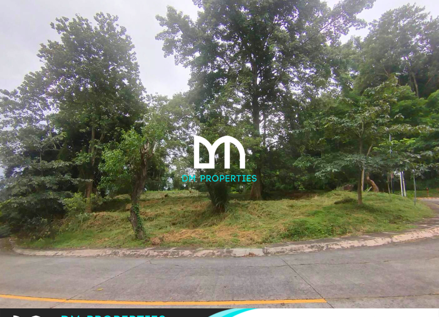 Parkridge Drive, Park Ridge, Santa Cruz, Antipolo, Rizal image 2