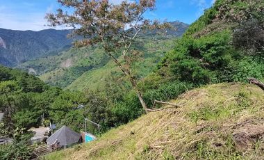 RESIDENTIAL LOT IN A SECURED SUBDIVISION CAMP 7, BAGUIO CITY