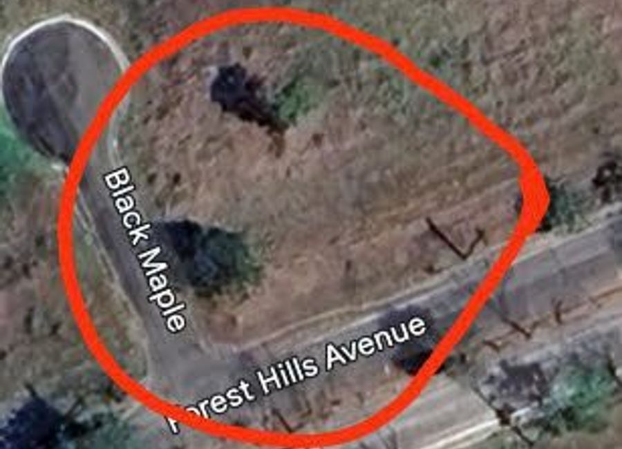 Forest Hills Avenue, Lower Tulakin, Bagong Nayon, Antipolo, Rizal