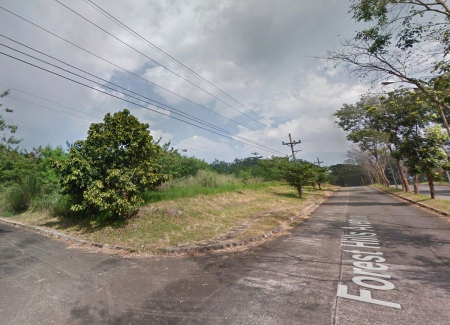 Forest Hills Avenue, Lower Tulakin, Bagong Nayon, Antipolo, Rizal image 2