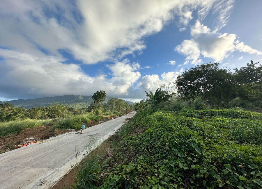 Ayala Greenfield Estates, Maunong, Calamba, Laguna image 3