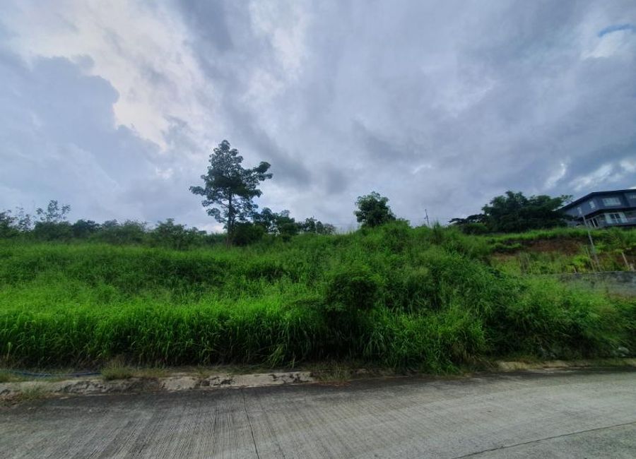 Hillcrest Street, Park Ridge, Santa Cruz, Antipolo, Rizal image 3