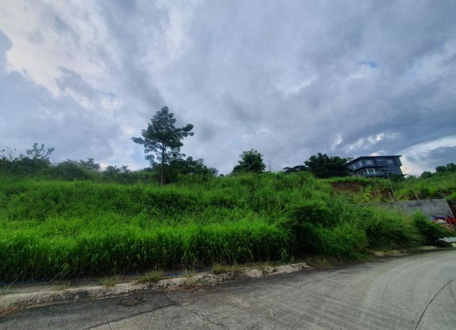 Hillcrest Street, Park Ridge, Santa Cruz, Antipolo, Rizal