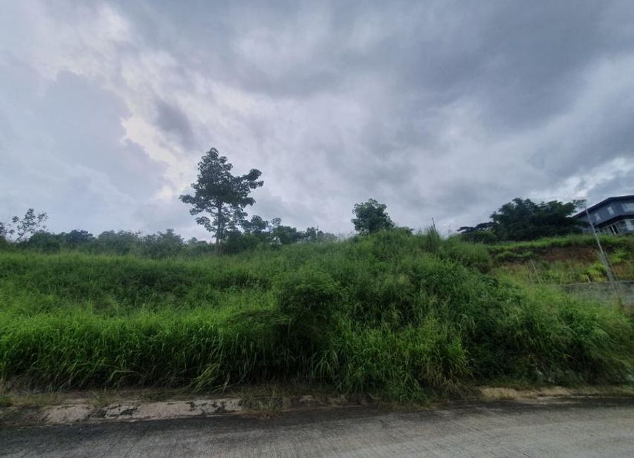 Hillcrest Street, Park Ridge, Santa Cruz, Antipolo, Rizal image 2