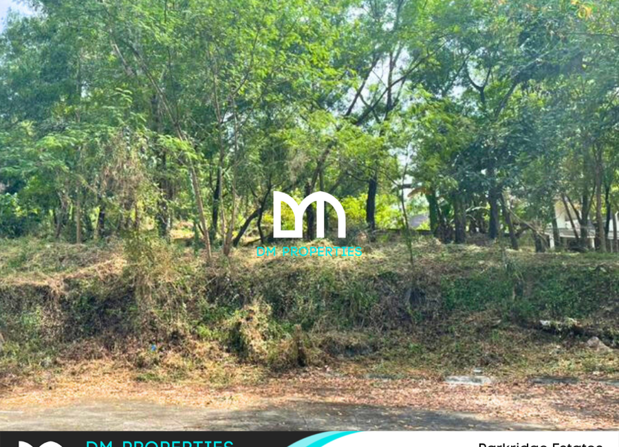 Parkridge Drive, Park Ridge, Santa Cruz, Antipolo, Rizal