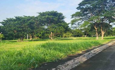 535 Sqm Vacant Lot For Sale In Manila Southwoods Phase 1