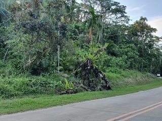 37ha Farm Lot along National Highway