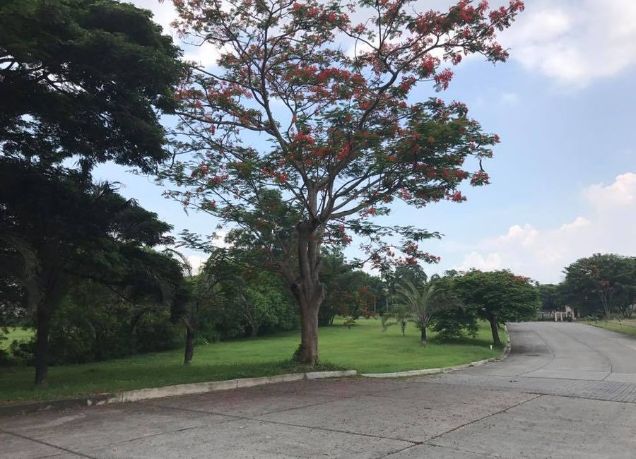 Crismor Avenue, Elvinda, Fatima, San Pedro, Laguna image 3