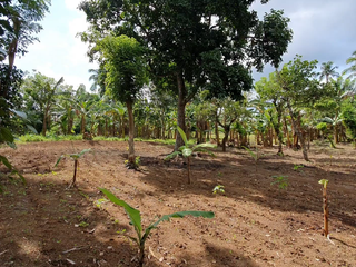 1 Hectare Titled Property in Alfonso Cavite - 5 Min from Alfonso Municipal Hall